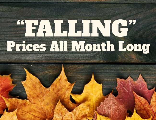 Falling Prices - Sitewide Sale at The Fan-Brand.com